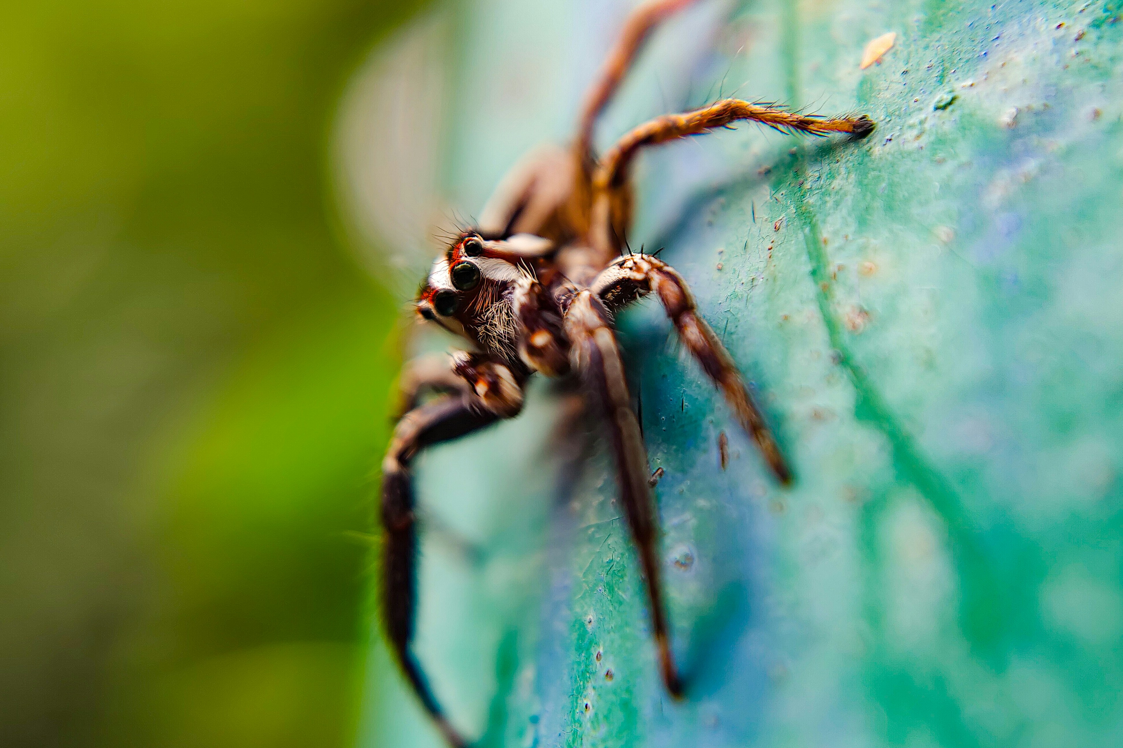 Photo by dilip_kumar