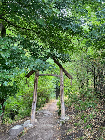 A minimalist wooden arch with greenery accents, framed by tall trees in a peaceful forest setting.