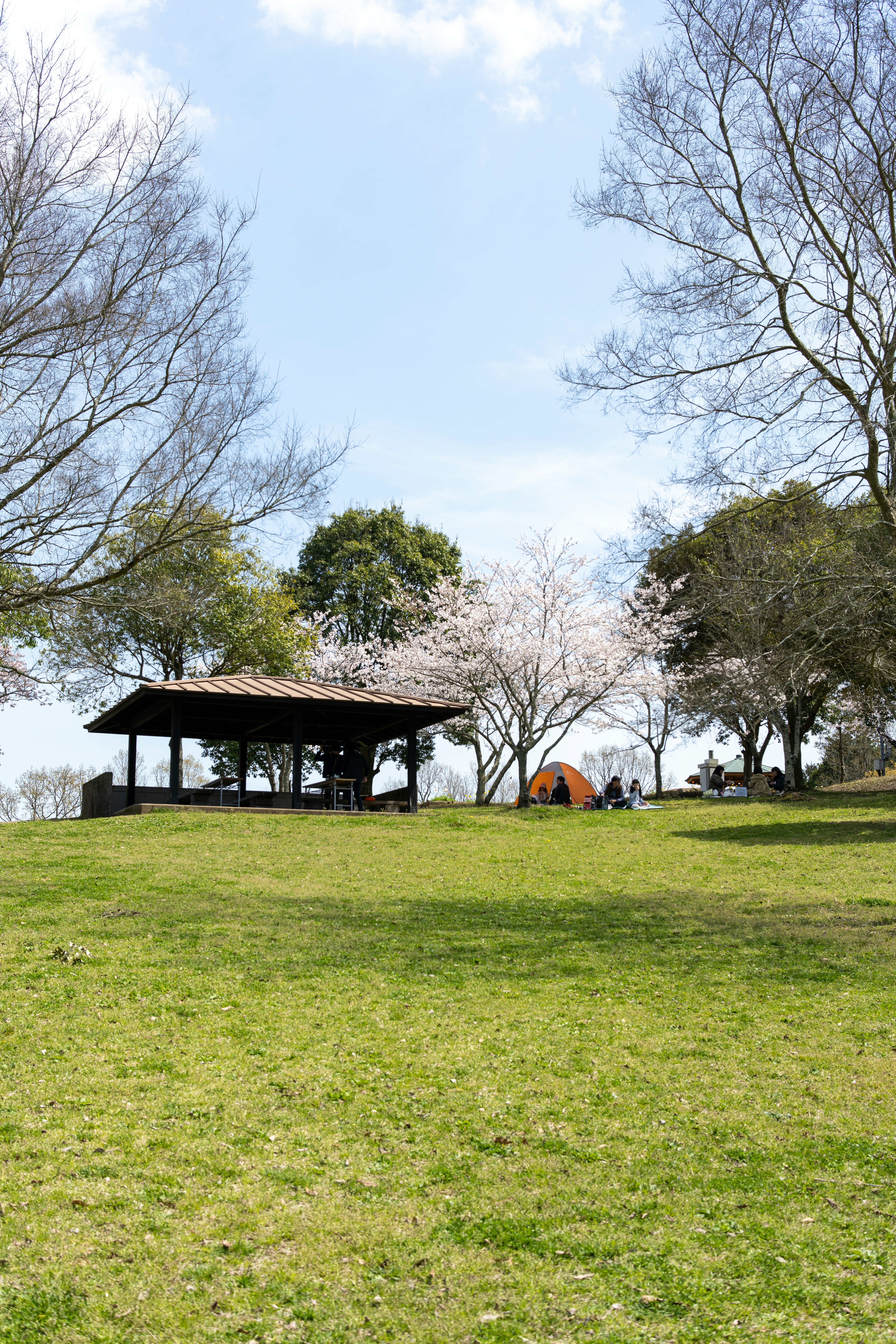 Photo by pafuxu