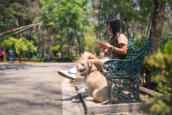 A friendly pet owner kneeling beside a dog in a park, looking at a smartphone.