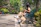 Young woman playing fetch with her blue French bulldog in a green park.