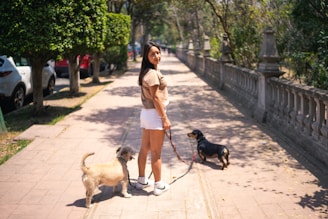 A cheerful dog walker smiling while walking two happy dogs on a sunny neighborhood street.