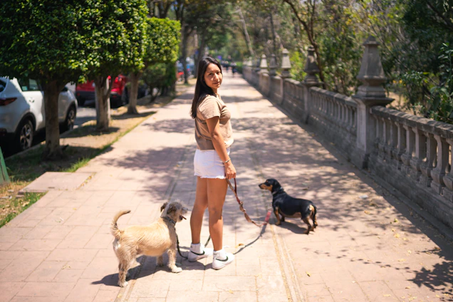 A cheerful dog walker happily strolling with two dogs along a leafy Whitchurch street.