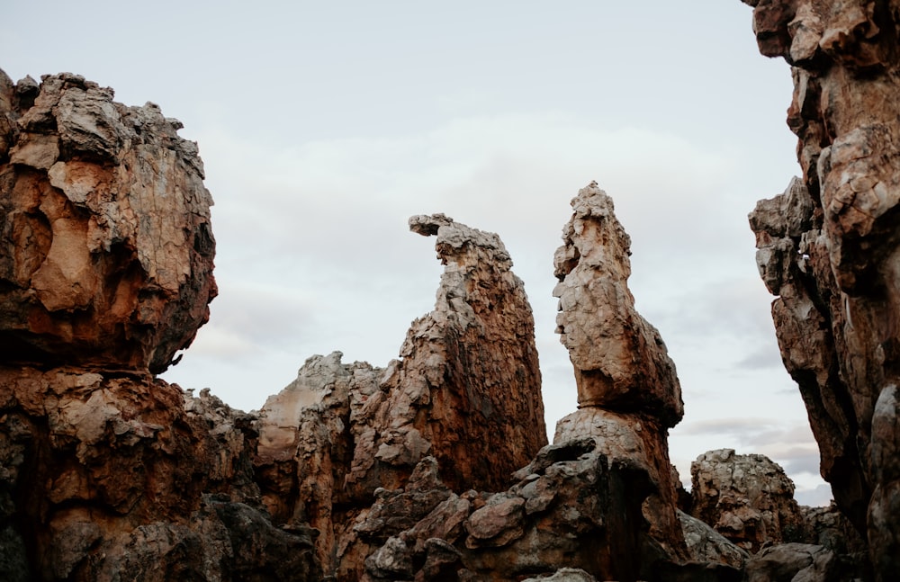 a bird sitting on top of a rock formation