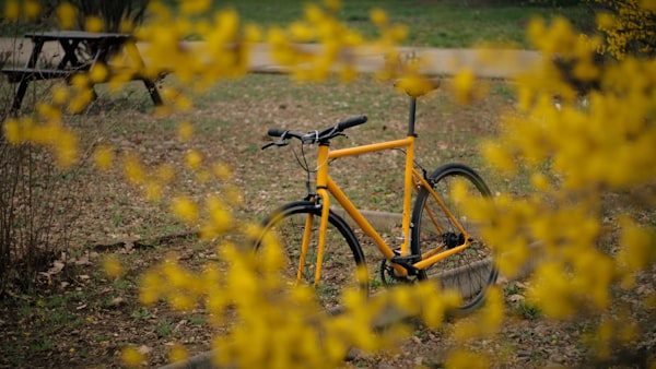 Singlespeed Fahrrad