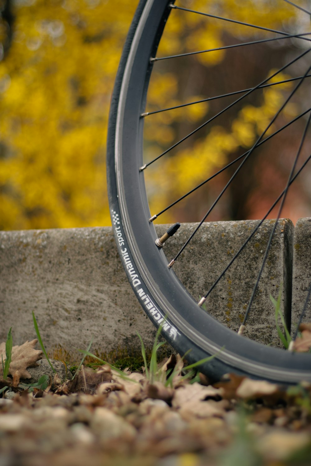 a close up of a bike tire on the ground