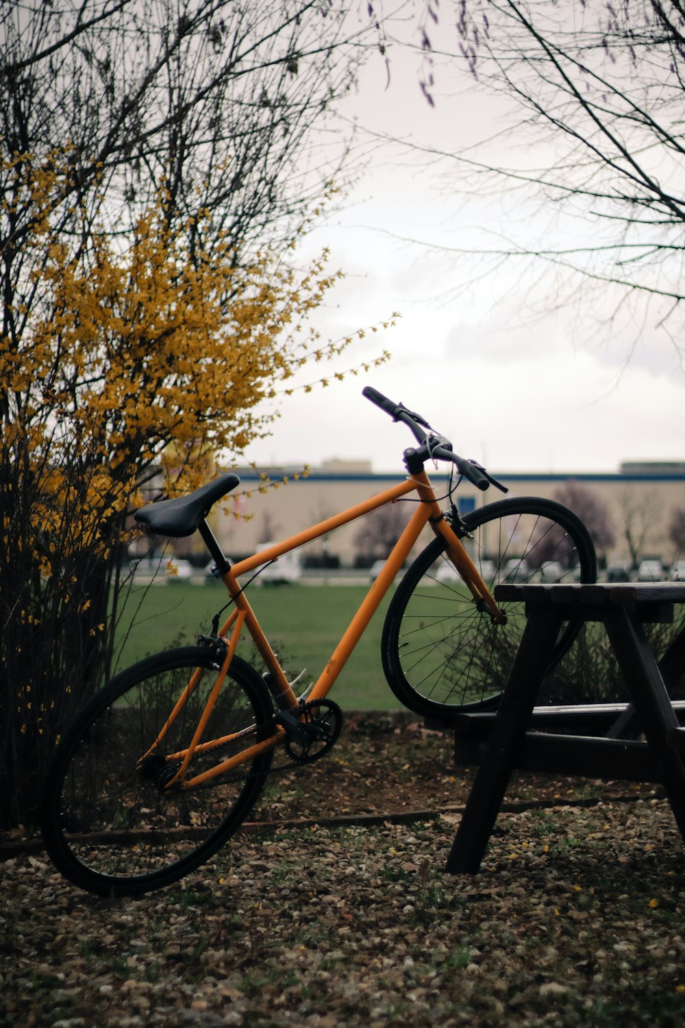 a yellow bicycle parked next to a park bench