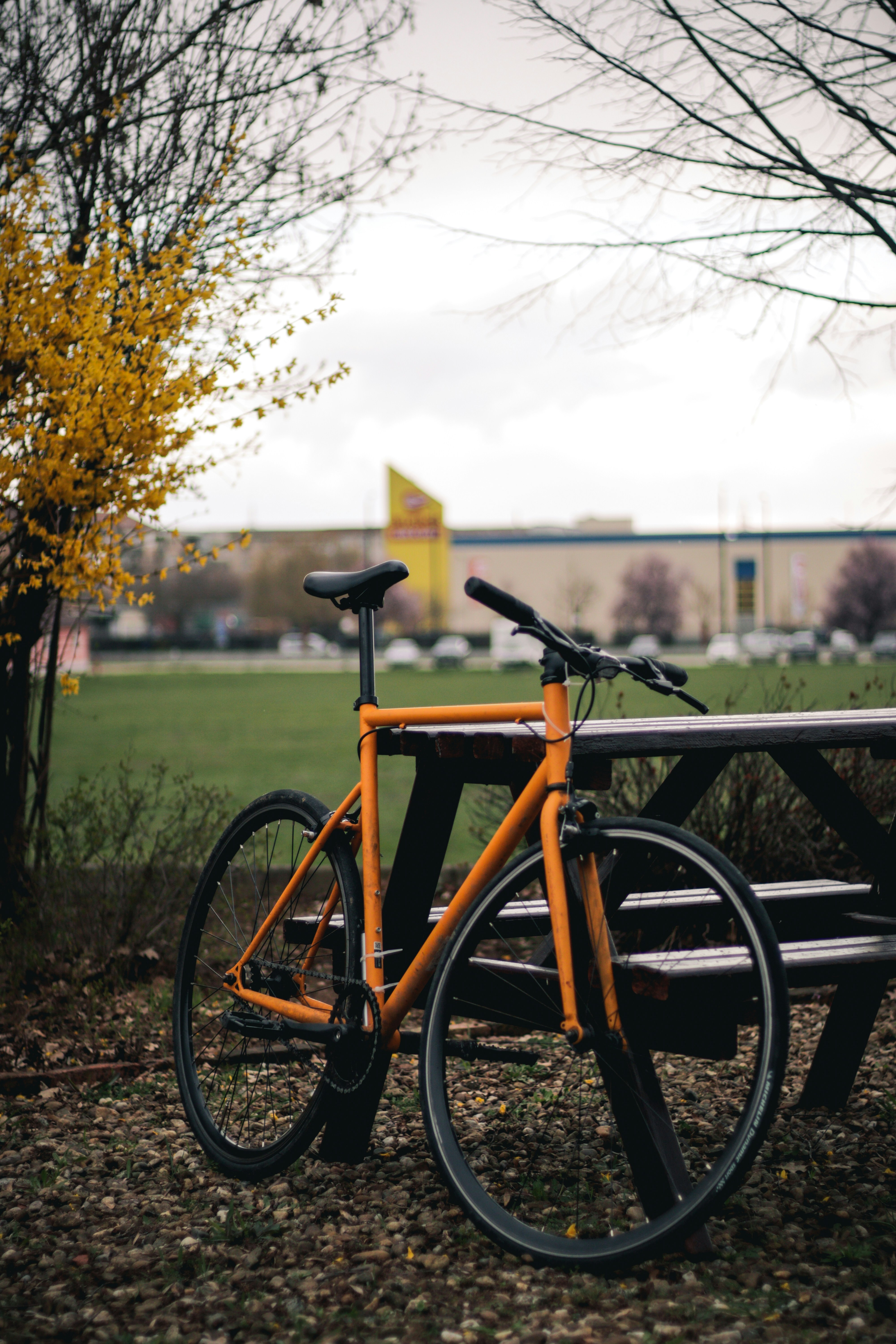 a bike parked next to a park bench