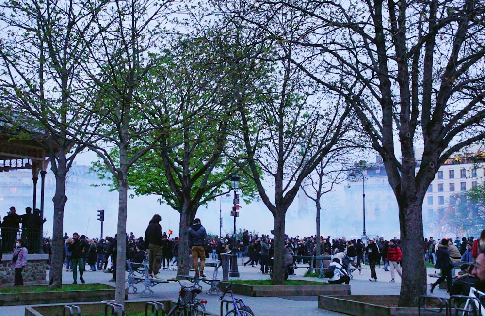 Una multitud de personas de pie alrededor de un parque