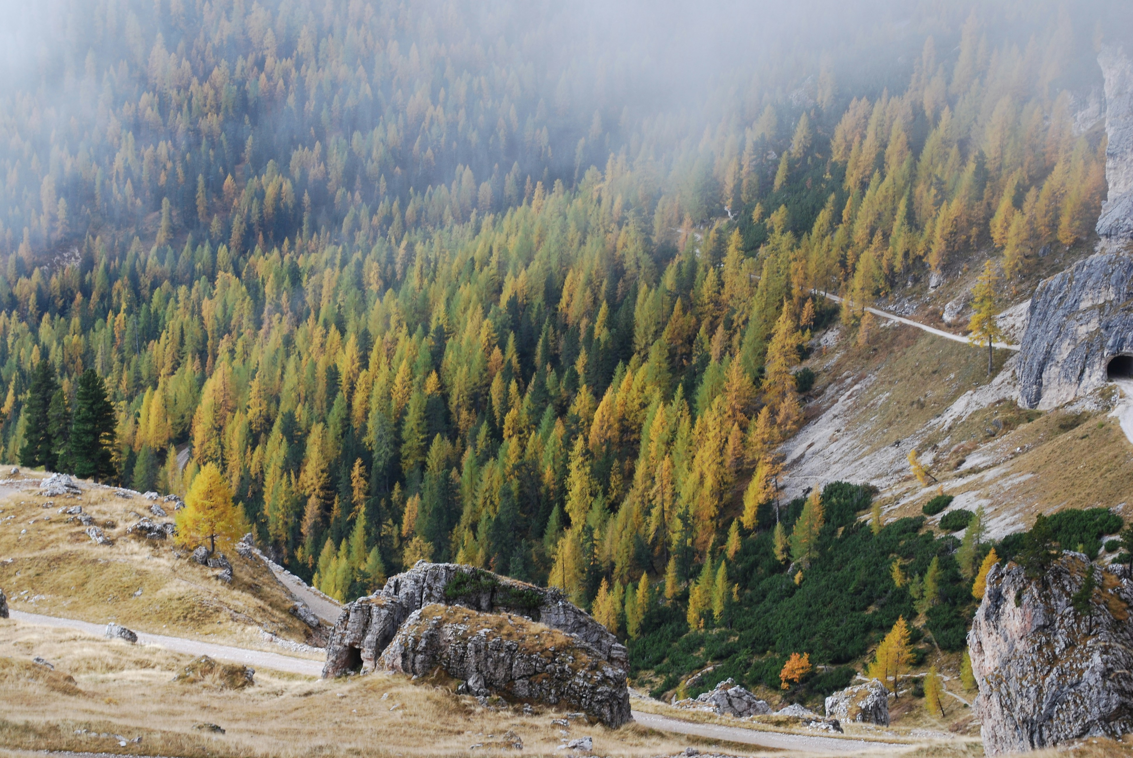 una vista di una montagna con alberi sullo sfondo