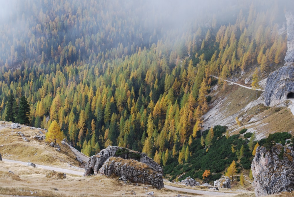 Una vista de una montaña con árboles en el fondo