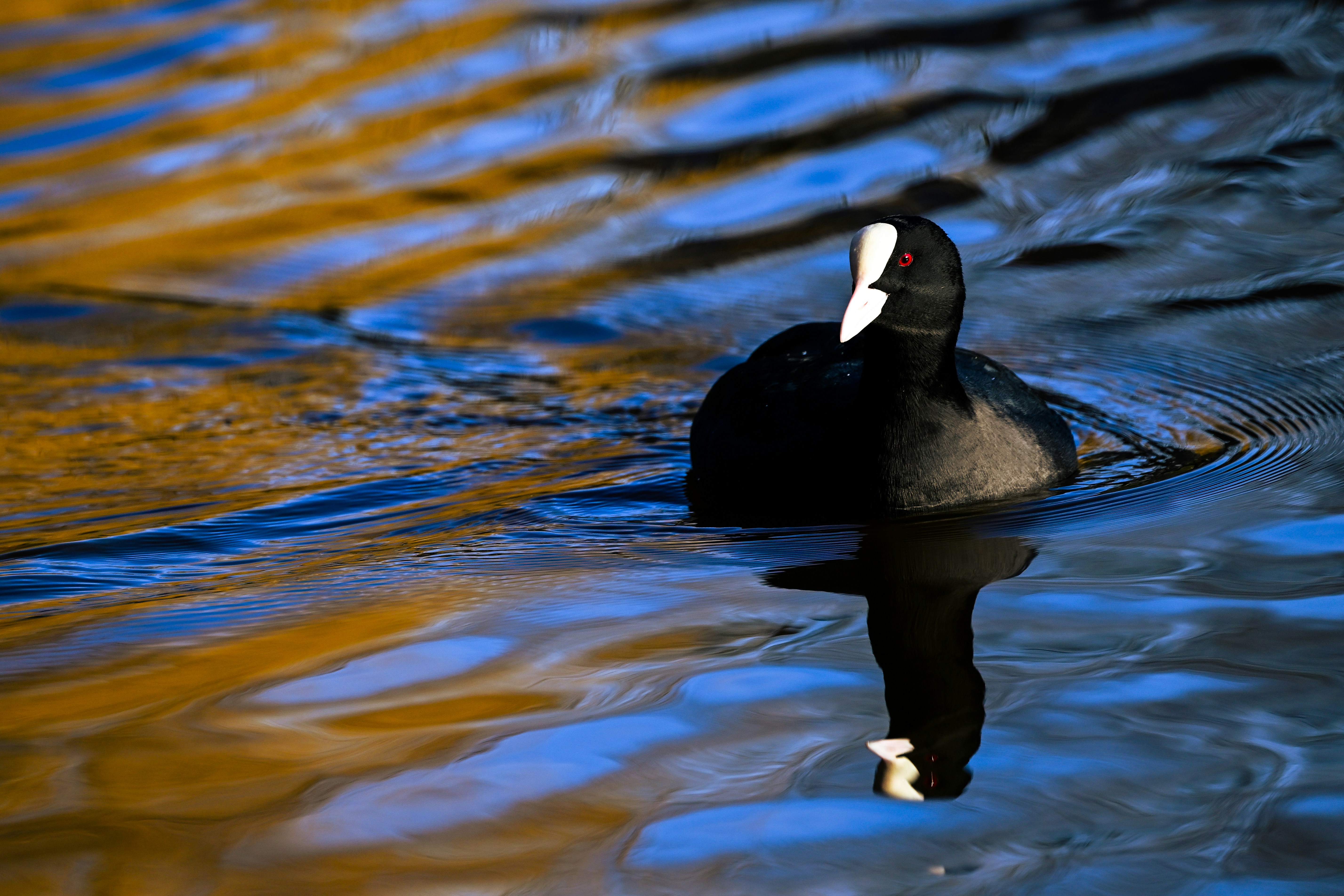 Photo by bangkoktravel