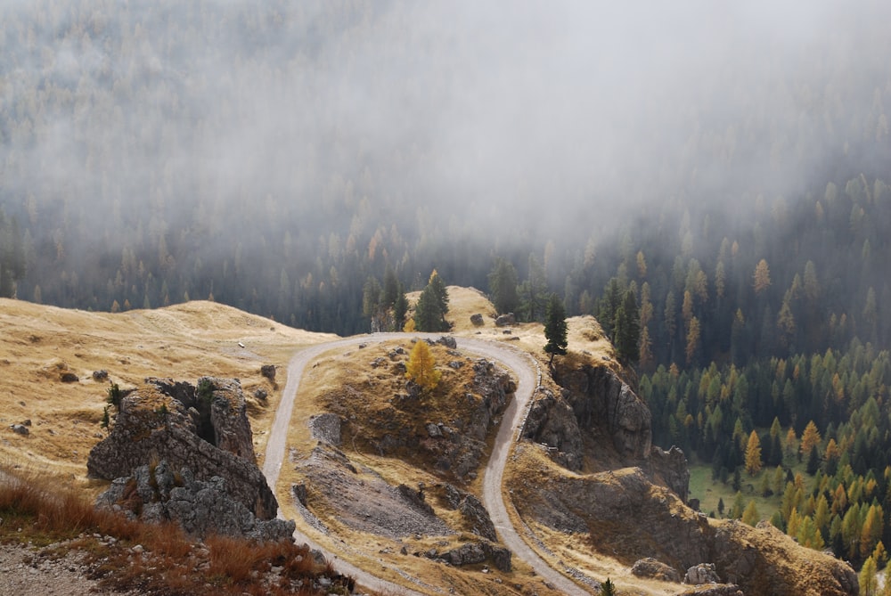 a dirt road winding through a valley surrounded by trees