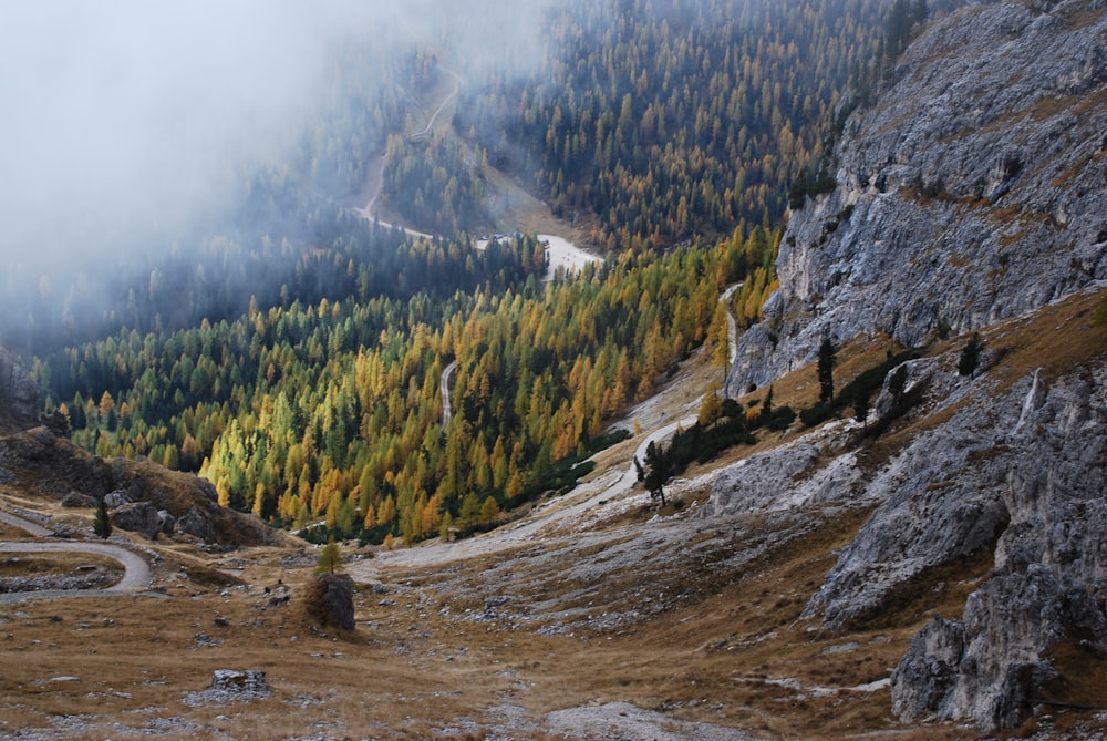 a scenic view of a mountain with a winding road