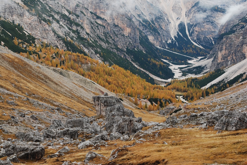 a view of a valley with a mountain in the background