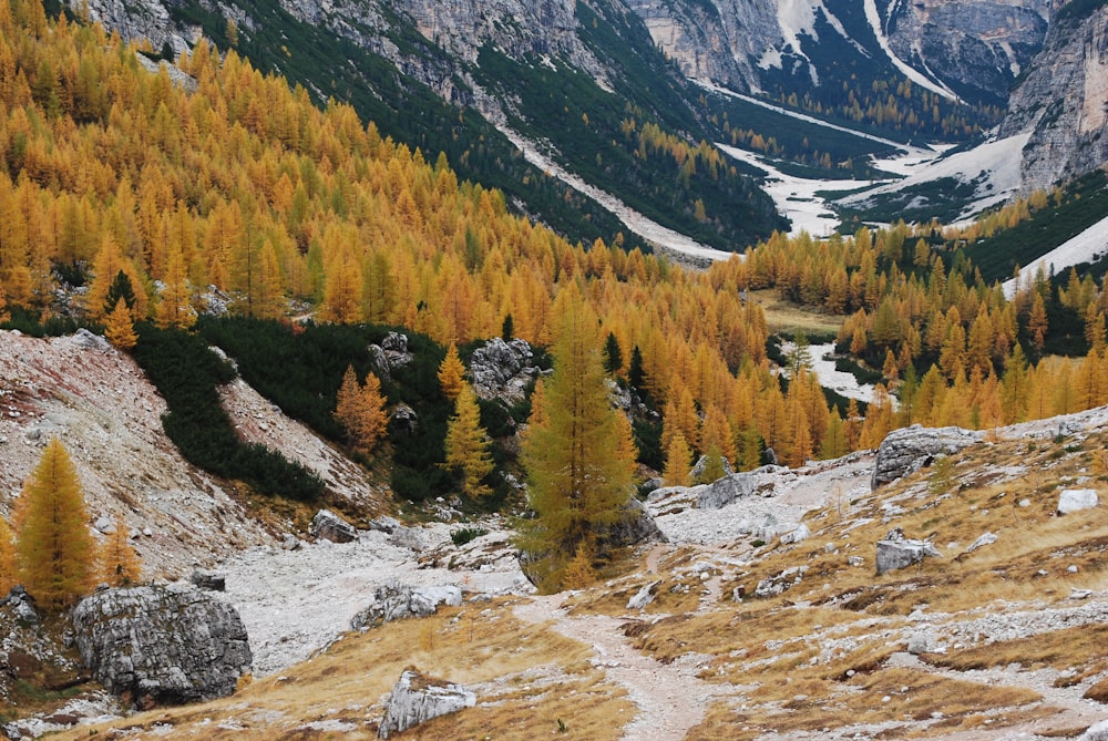 a view of a mountain range with trees in the foreground