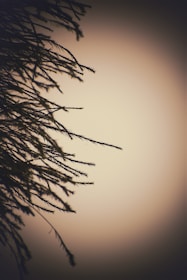 Background image symbolizing attentive listening with a calm and warm atmosphere.