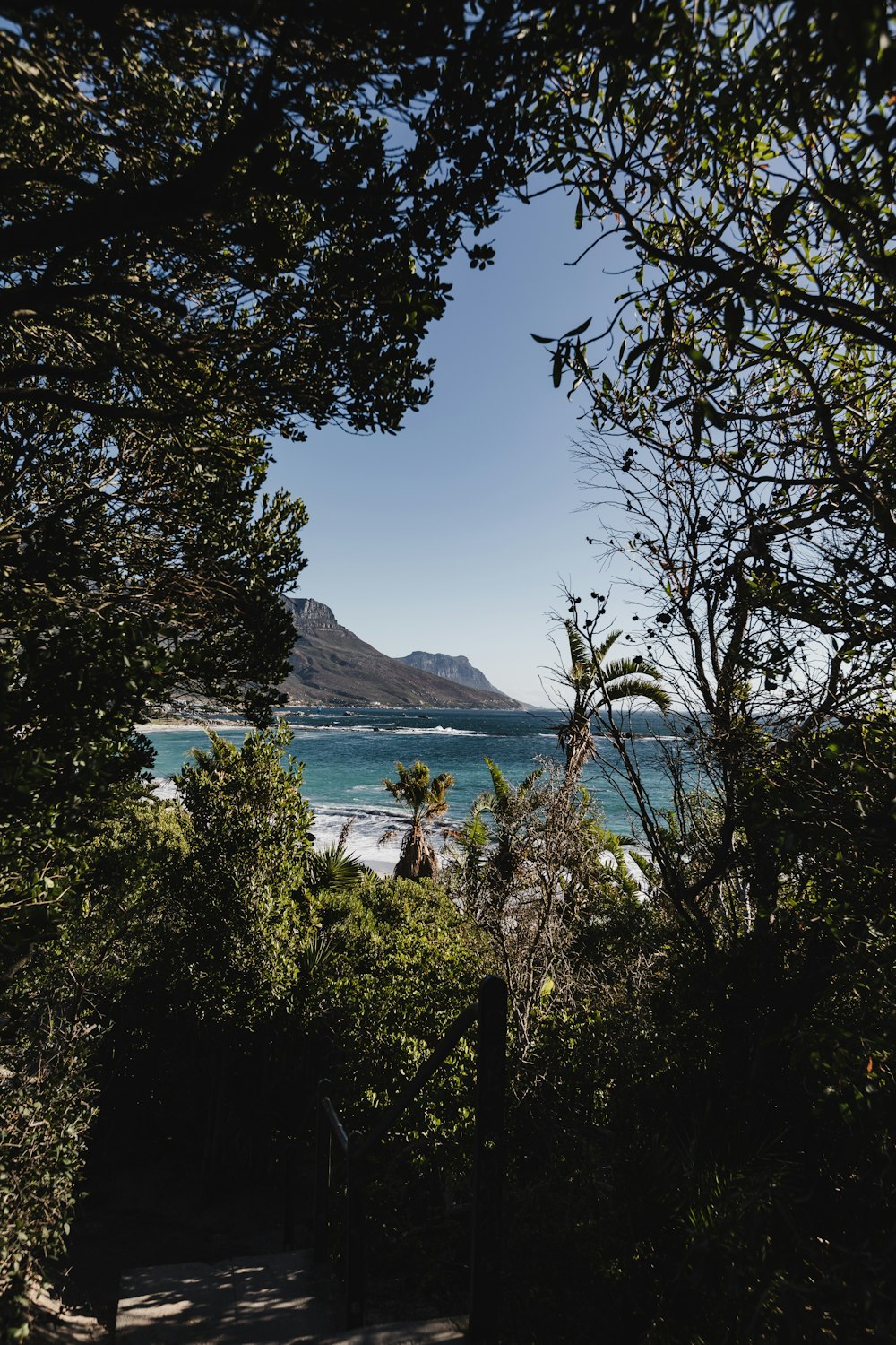 a view of a beach through some trees