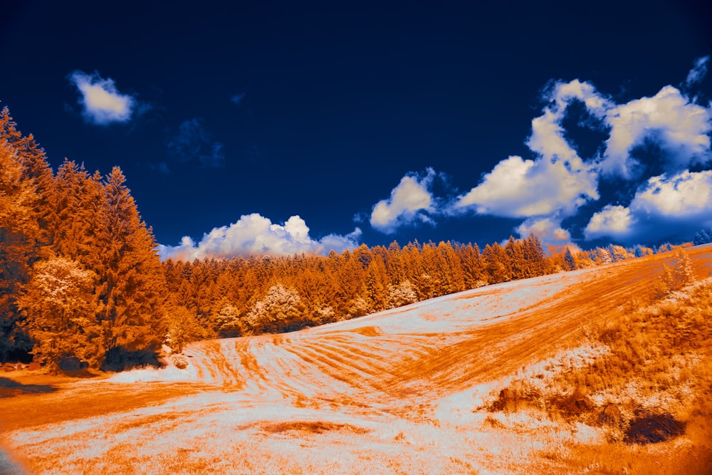 a dirt road surrounded by trees under a cloudy blue sky