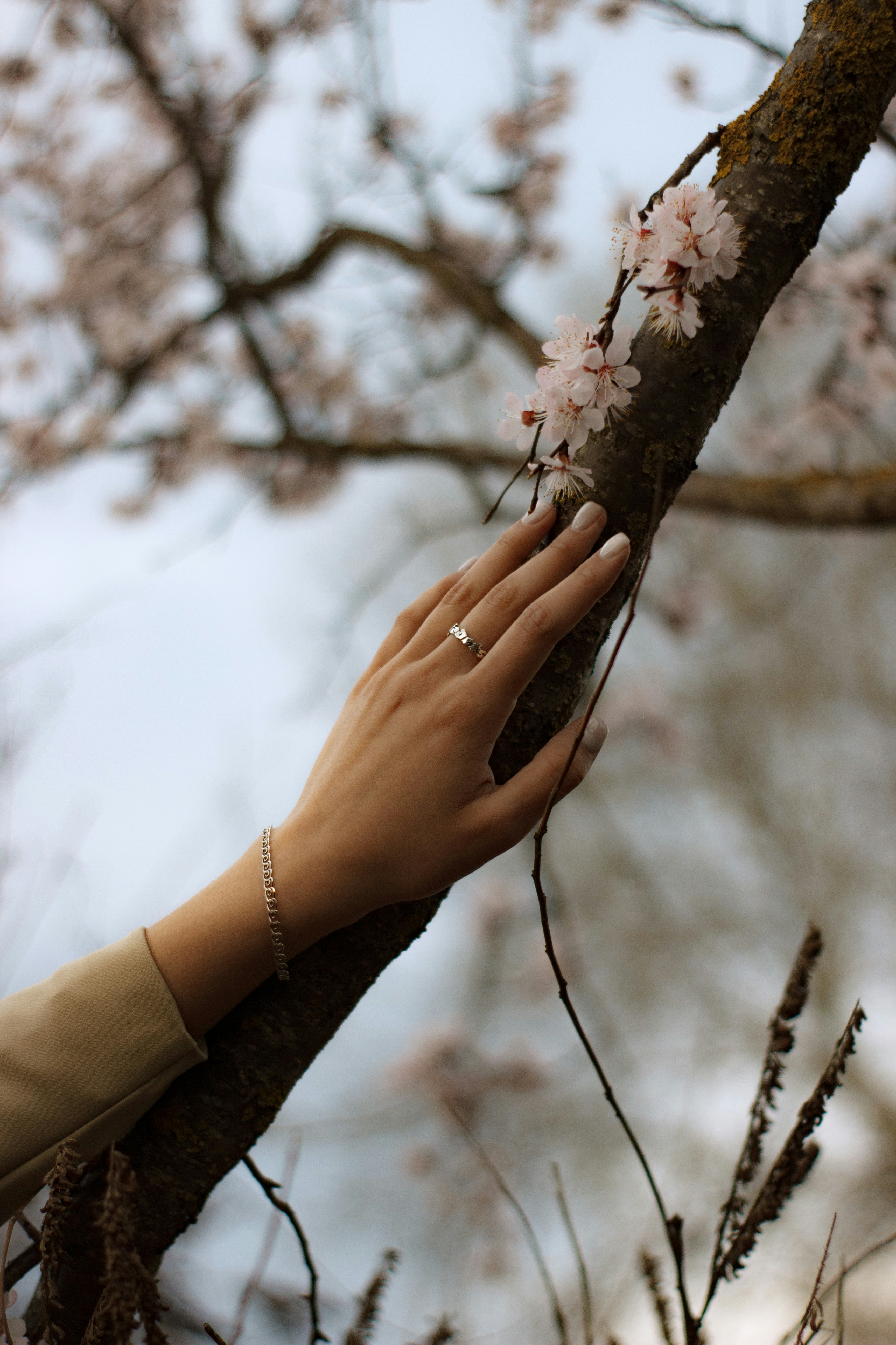 a woman's hand on a tree branch with pink flowers