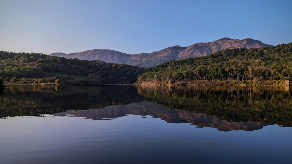 a body of water surrounded by mountains and trees