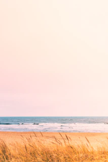 Soft sand dunes glowing under a peaceful sunset with gentle ocean breezes.