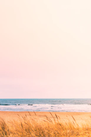 Soft sand dunes glowing under a peaceful sunset with gentle ocean breezes.
