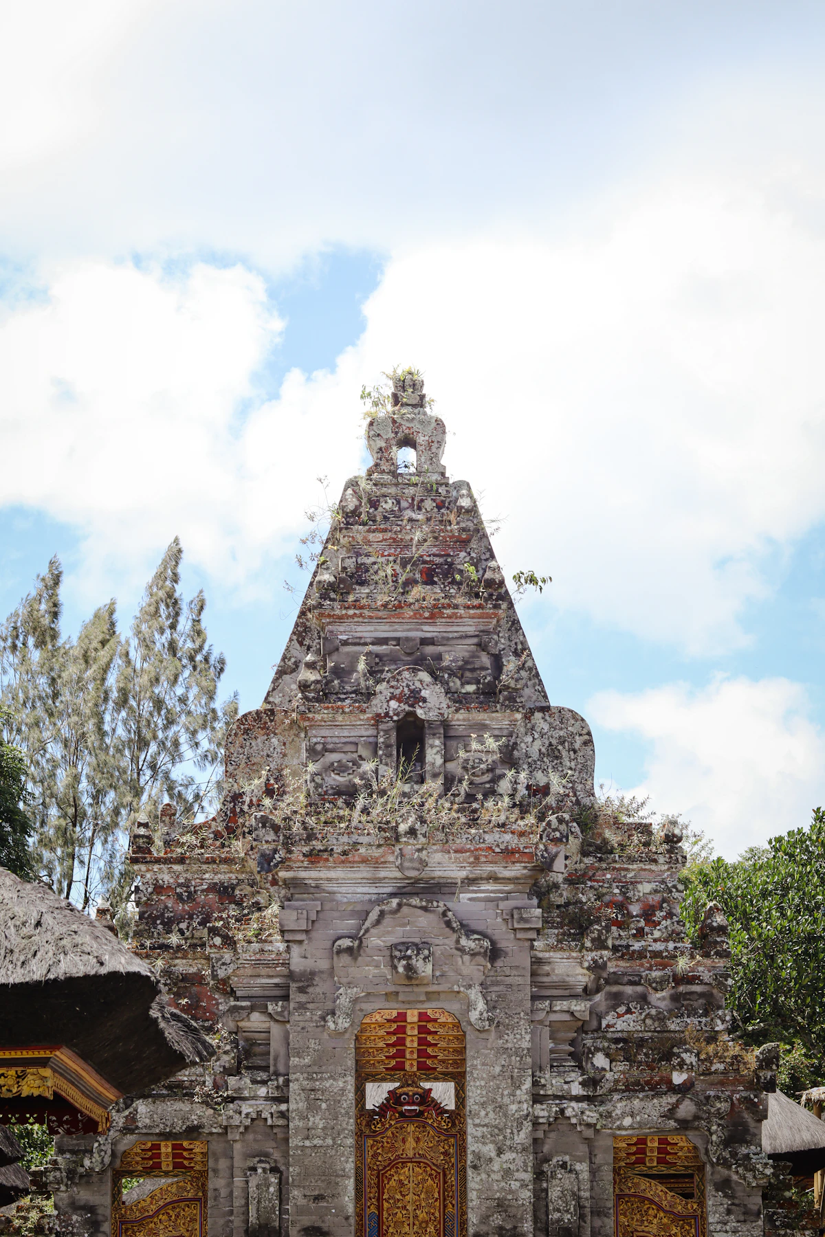 Scenic highlights of Siladen Coral Gardens Drift & Macro Wonders in Manado / Tangkoko