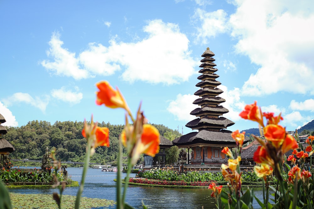 a view of a lake with a pagoda in the background