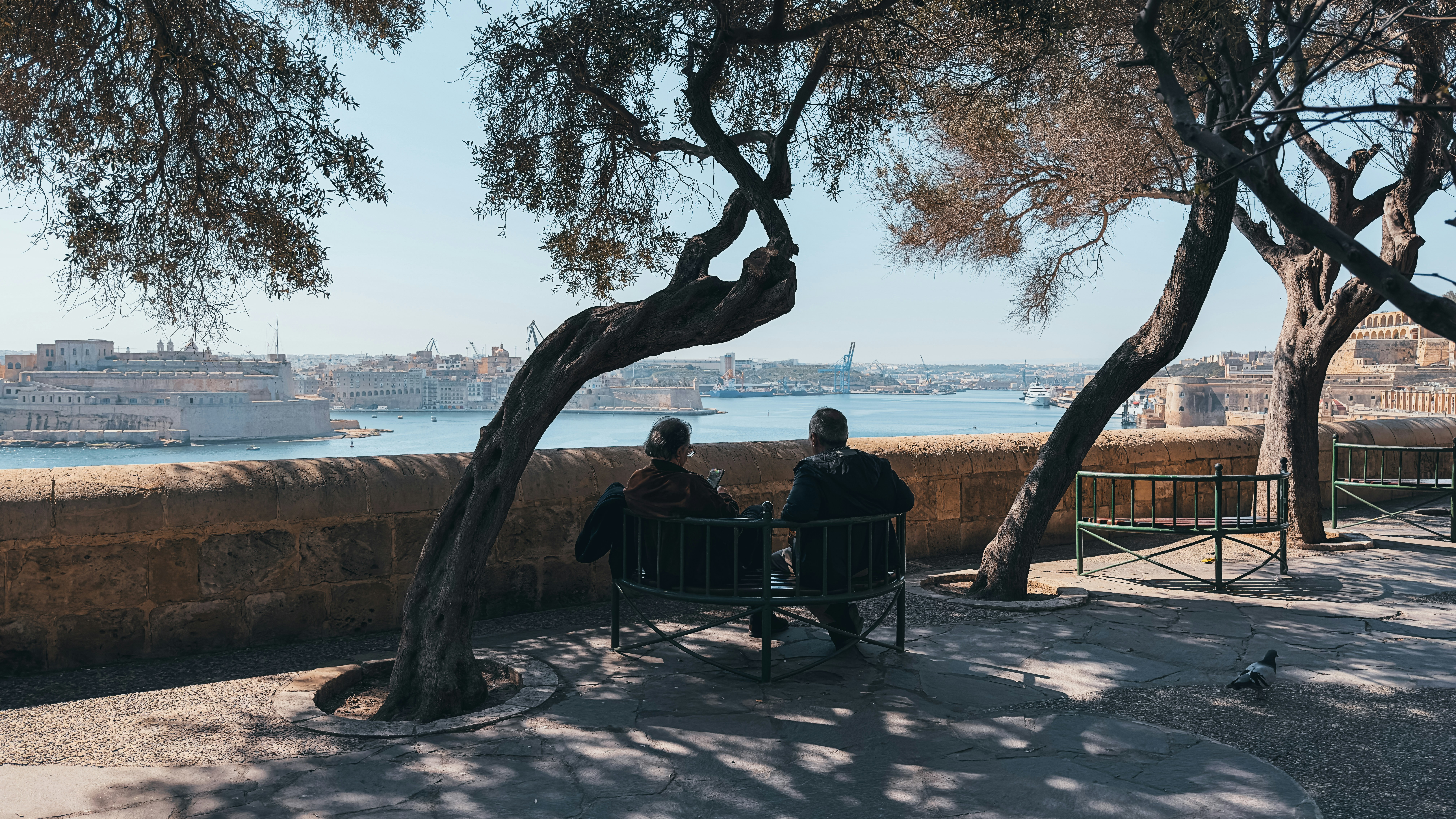 a couple of people sitting on a bench next to a tree