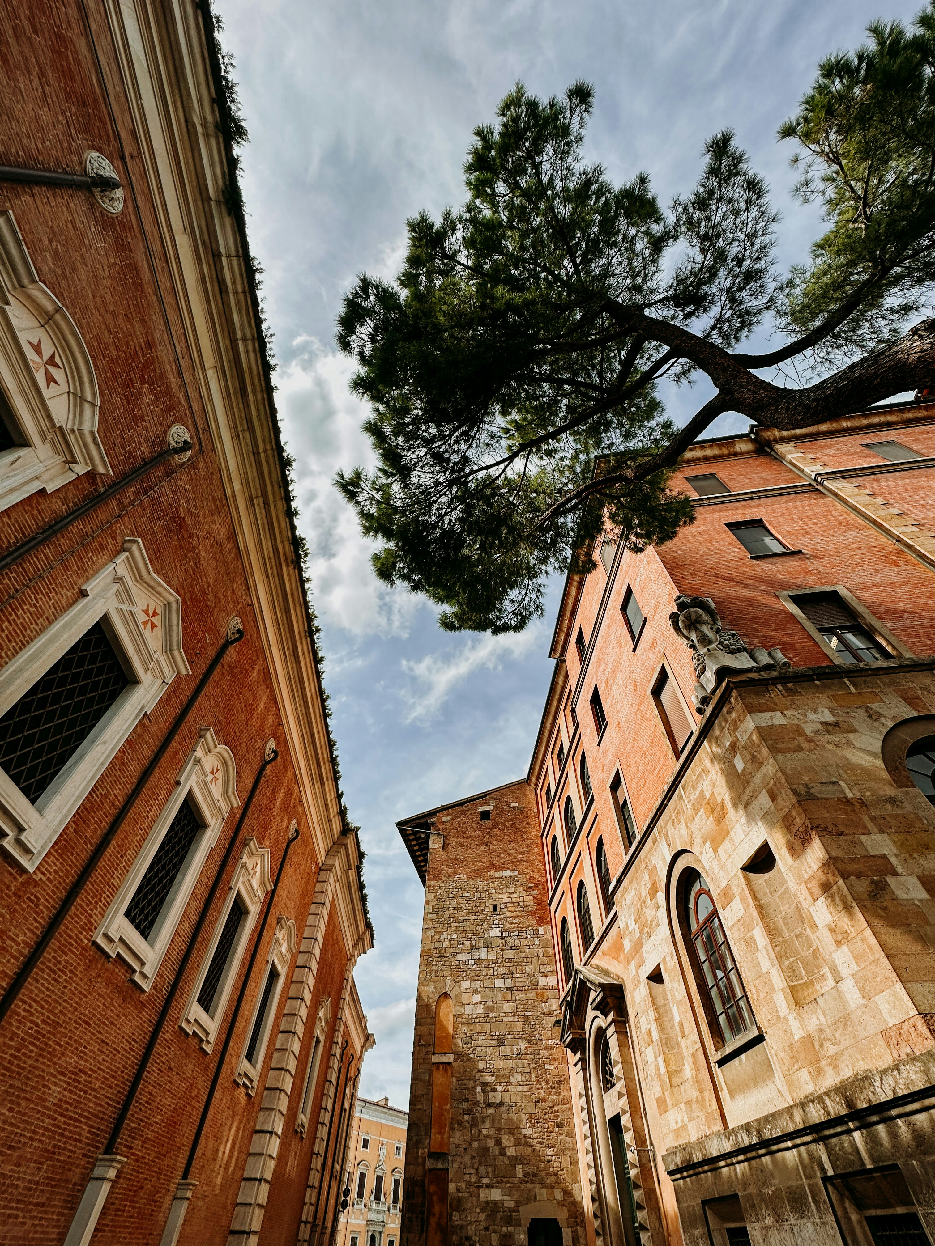 Photo by virginiaphotostories