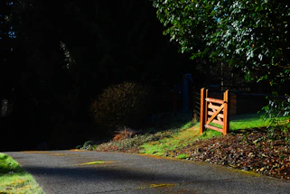 A friendly handyman fixing a wooden gate on a sunny day in an Irish neighborhood.