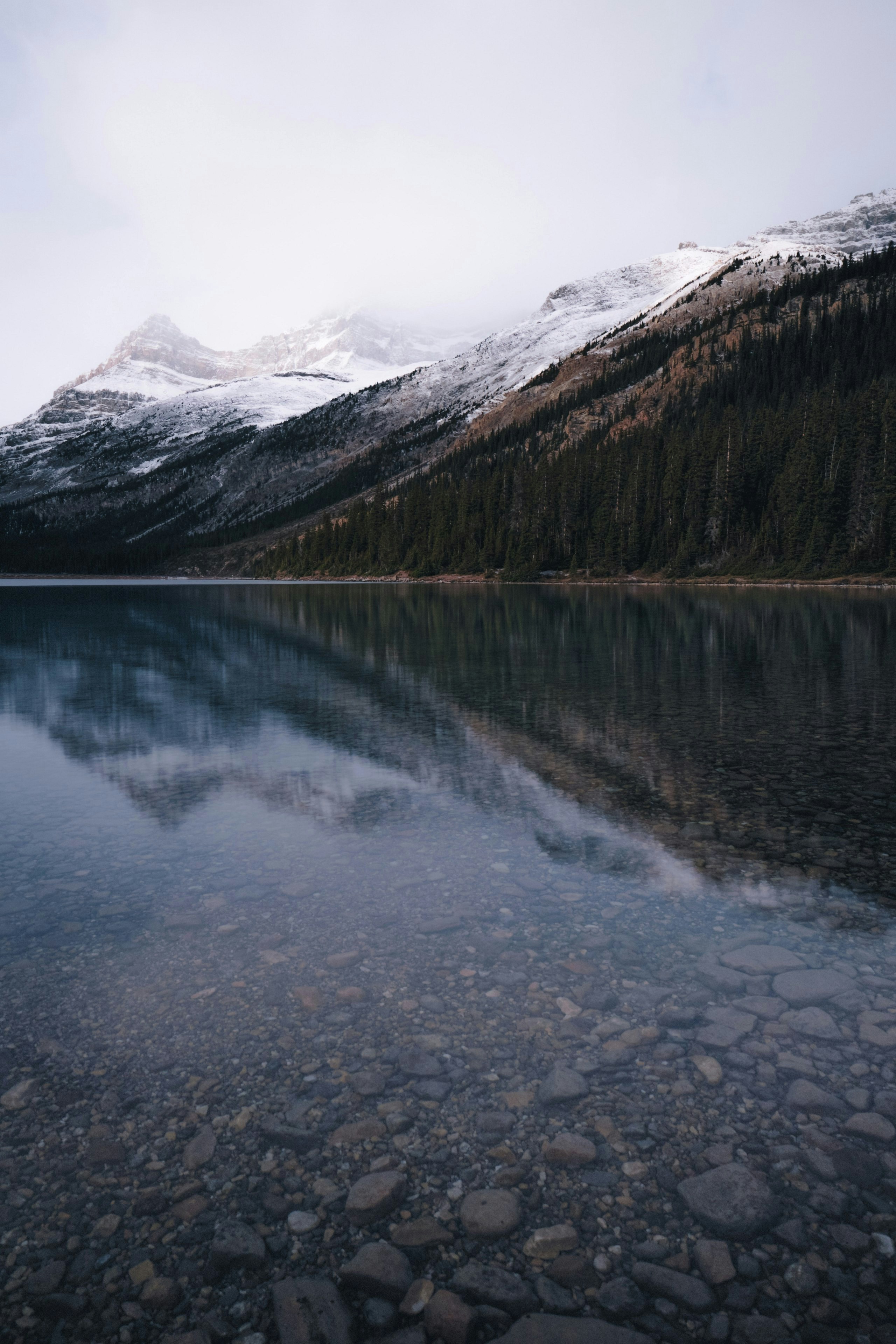 Photo by ahmedmaaroof