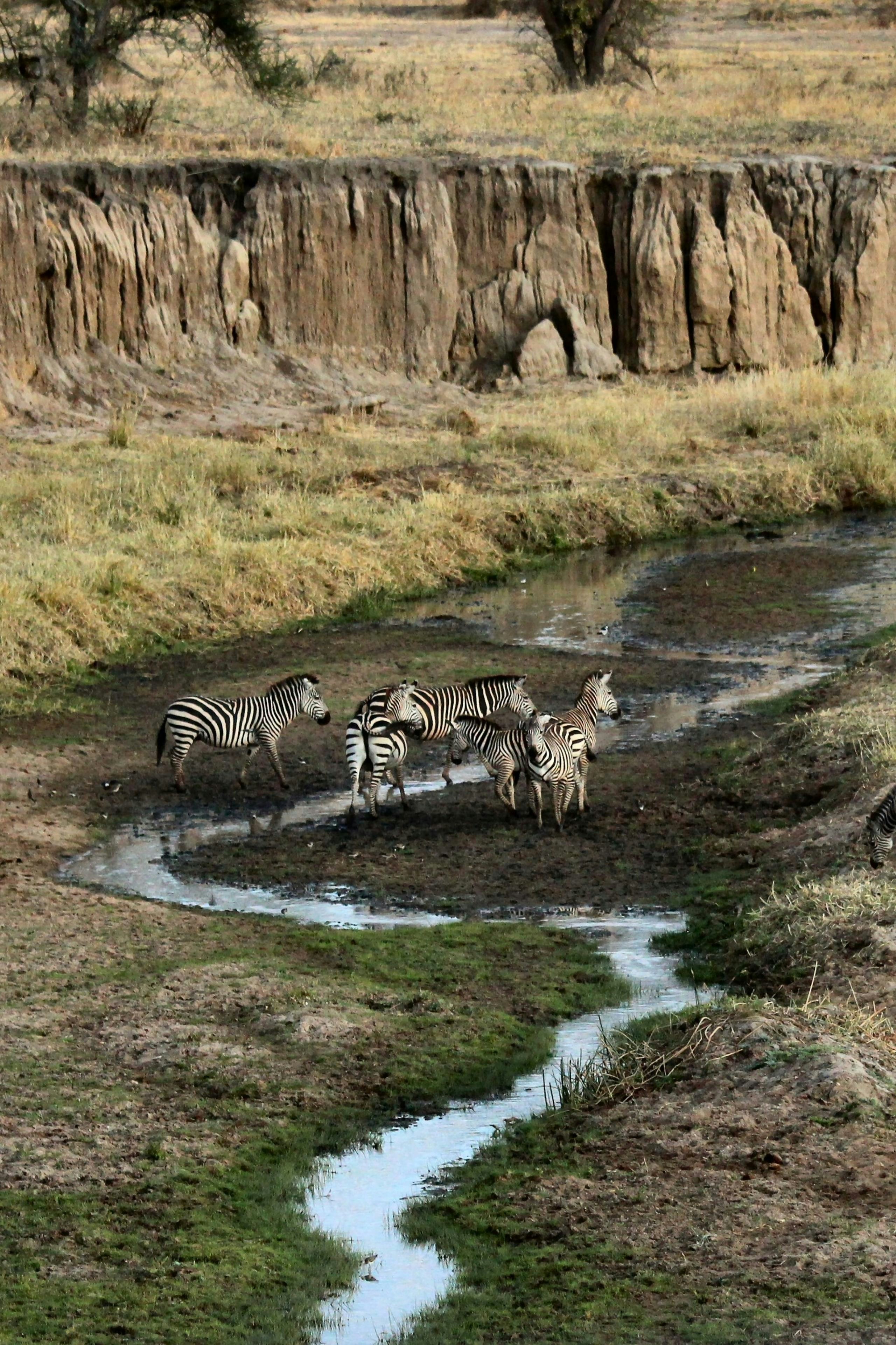 Photo by ahmedmaaroof