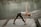A person practices yoga on a mat by a calm river, performing a reverse triangle pose with one arm extended upwards and the other touching the ground. The setting is serene with a focus on balance and flexibility.