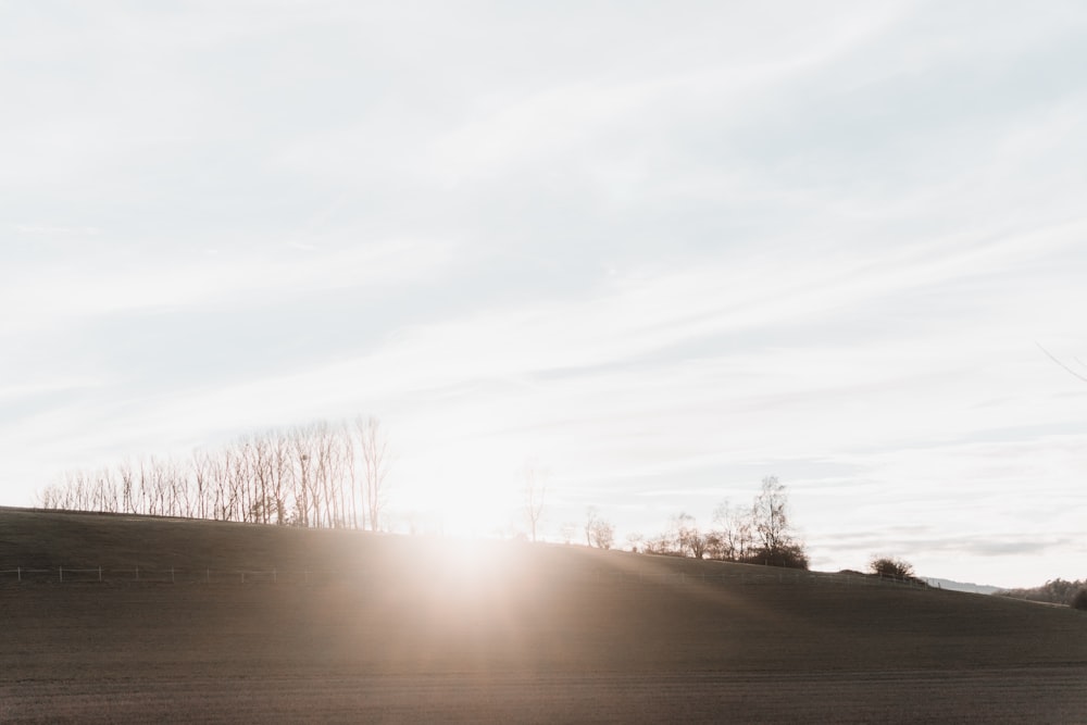 a person riding a skateboard down a hill