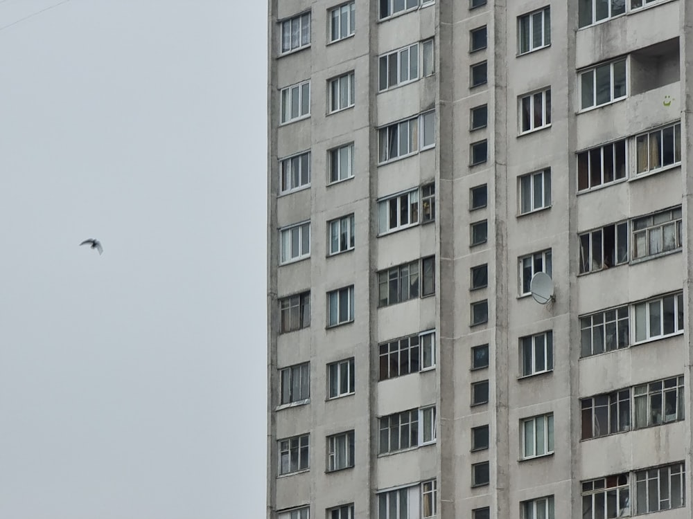 a bird flying in front of a tall building