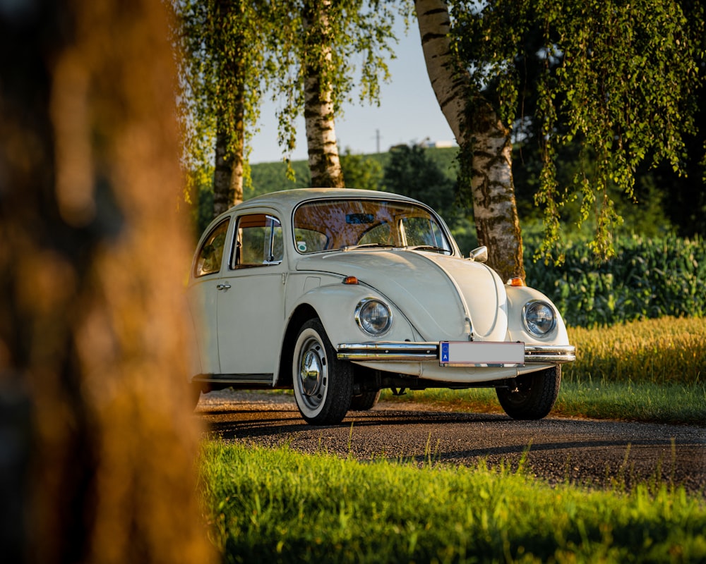 a white car driving down a road next to trees