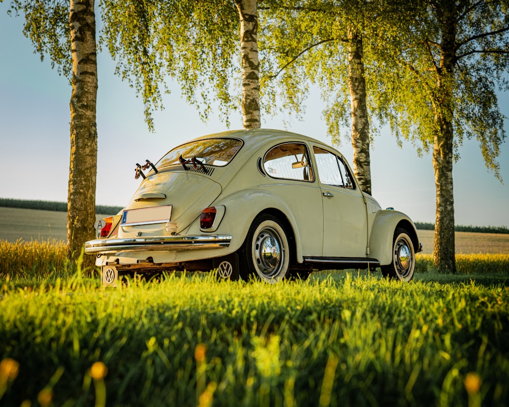 a white car parked in a field next to trees