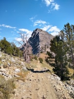 A rugged mountain path winding upward, illustrating the challenging journey of growth.