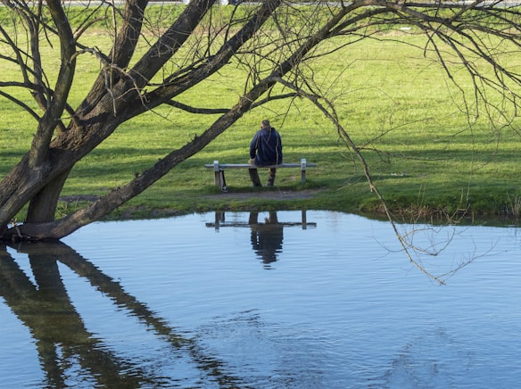 A person sits on a bench near a calm body of water, surrounded by green grass and a large leaning tree that casts its reflection on the water's surface. The atmosphere is peaceful and serene.