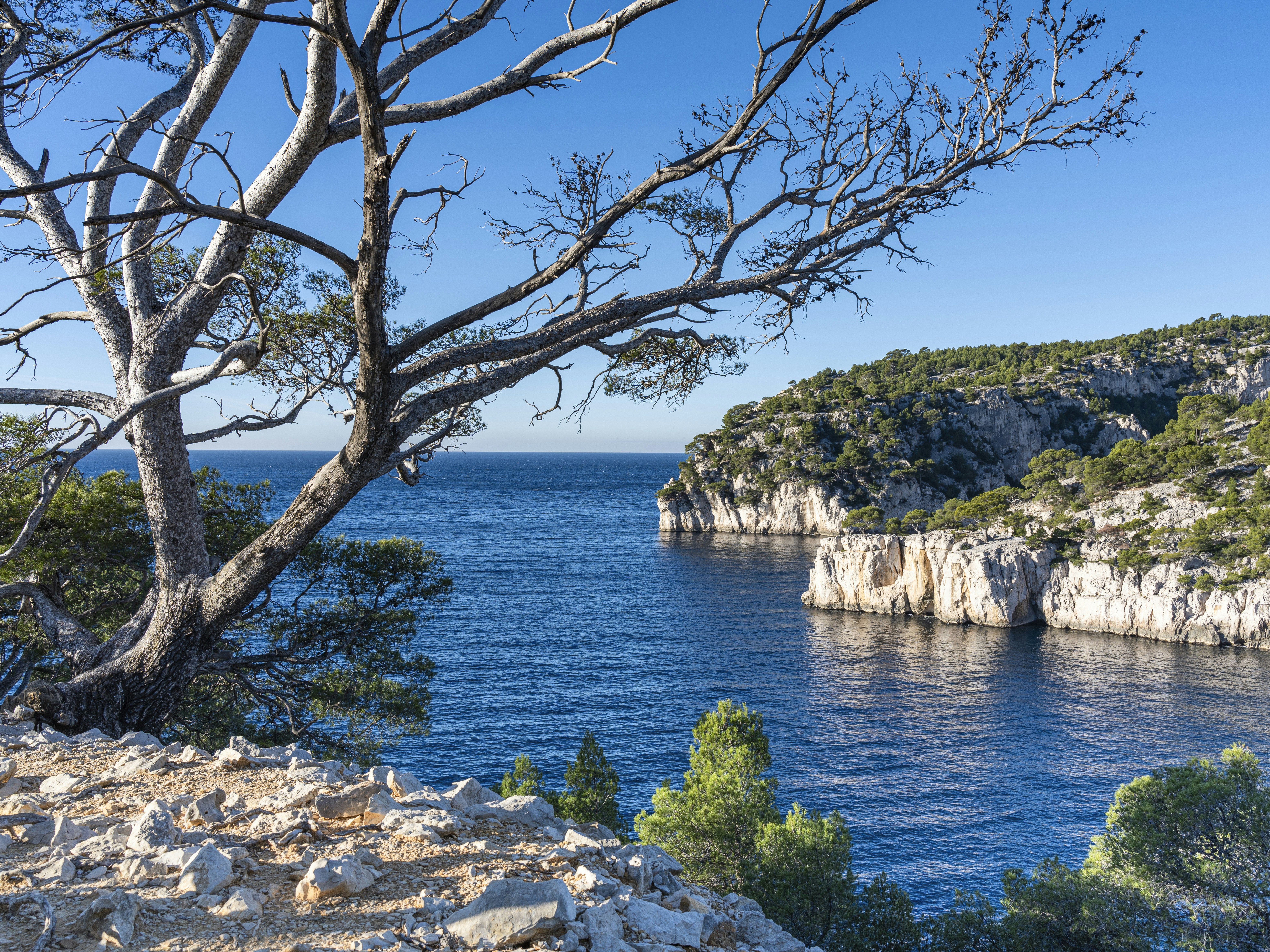 Photo by le_sixieme_reve