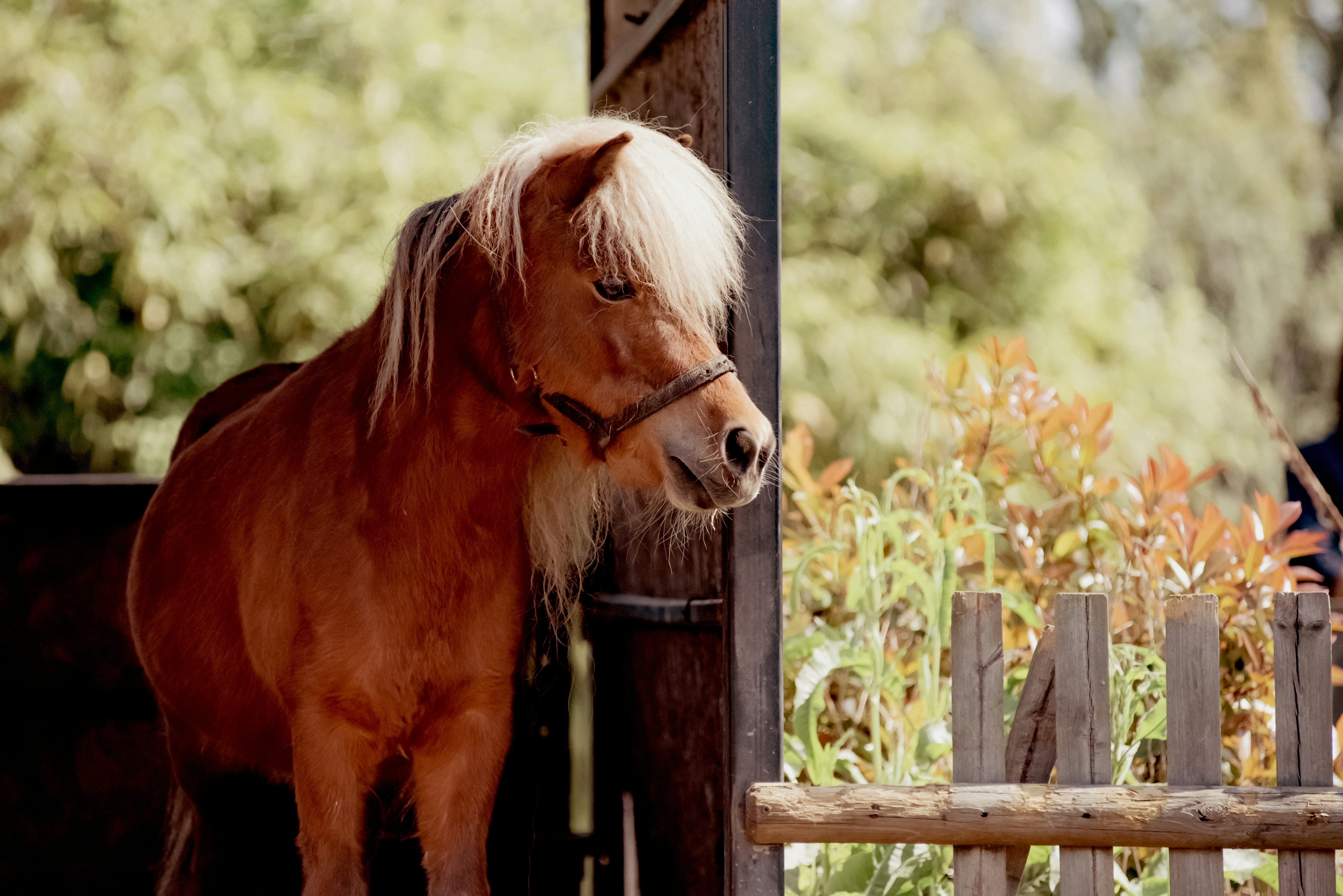 Photo by lauraadaiphoto