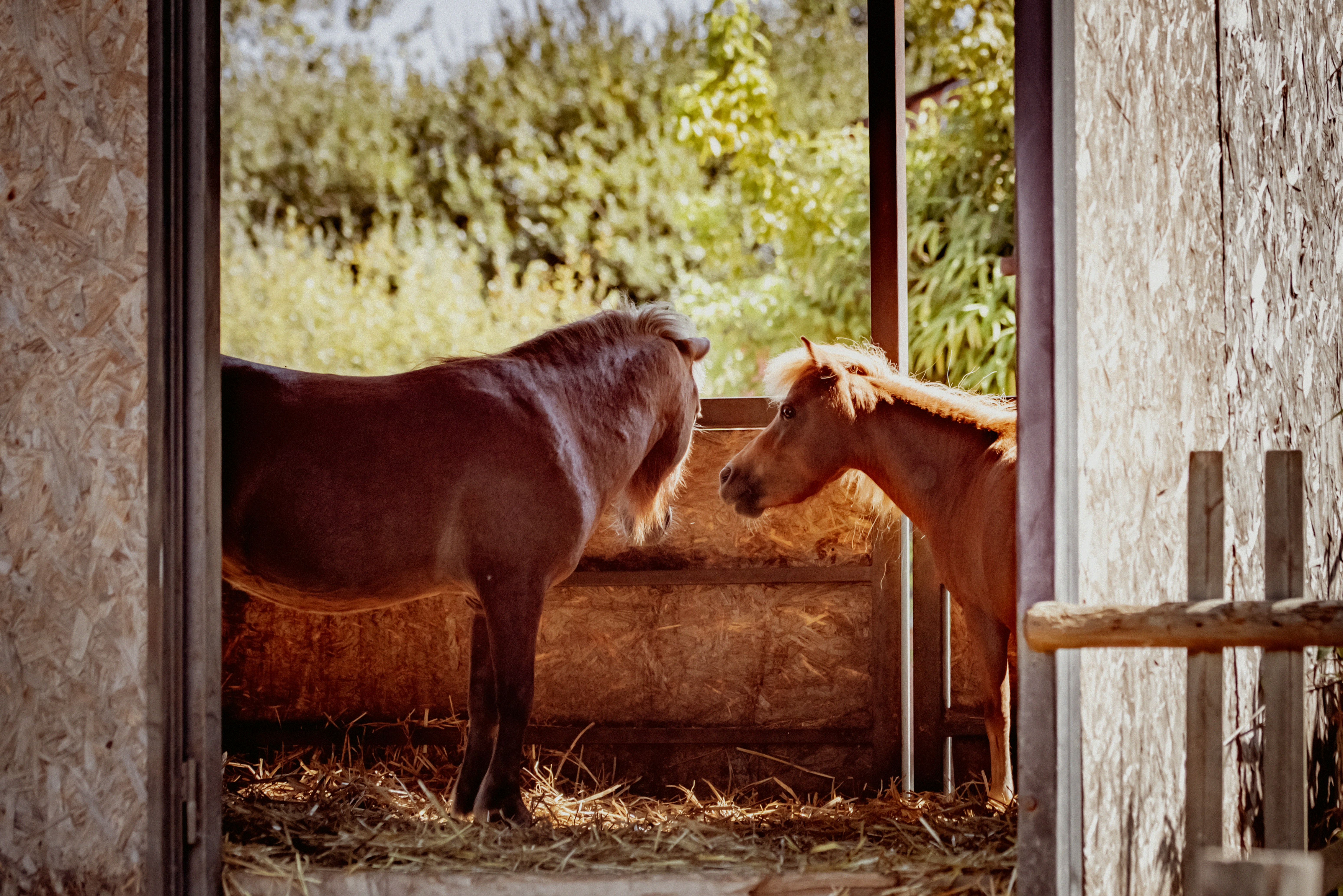 Photo by lauraadaiphoto