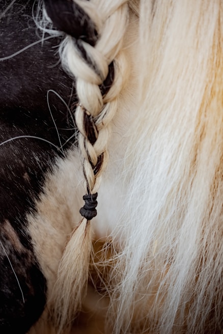 A detailed close-up of a braided section of hair with black and white strands, tied with a black band. It contrasts with longer, flowing hair that is mostly blonde.