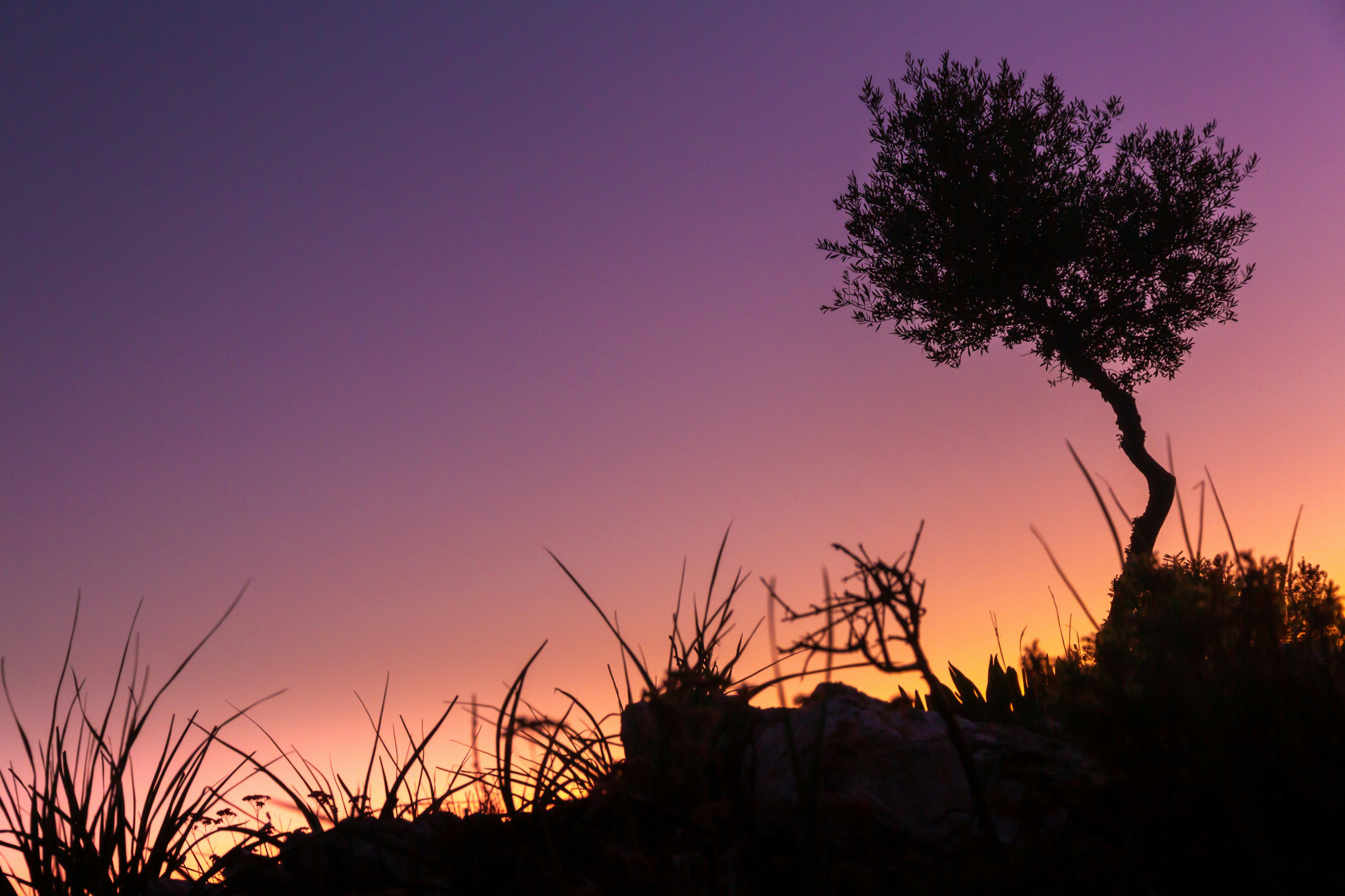 Photo by ninaslashchilina