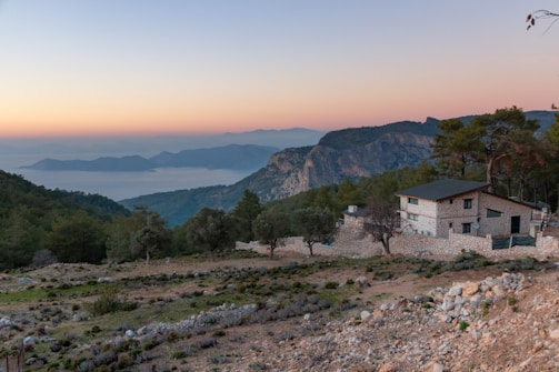 A serene view of a luxury home nestled among the pine trees in Palampur at sunset.