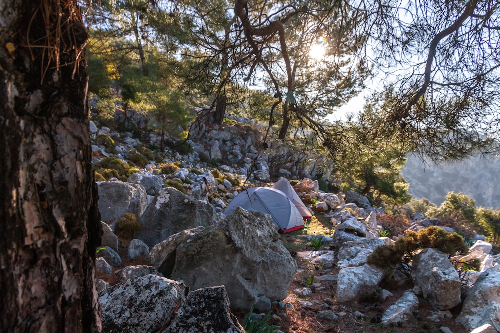 a tent set up on a rocky trail surrounded by trees