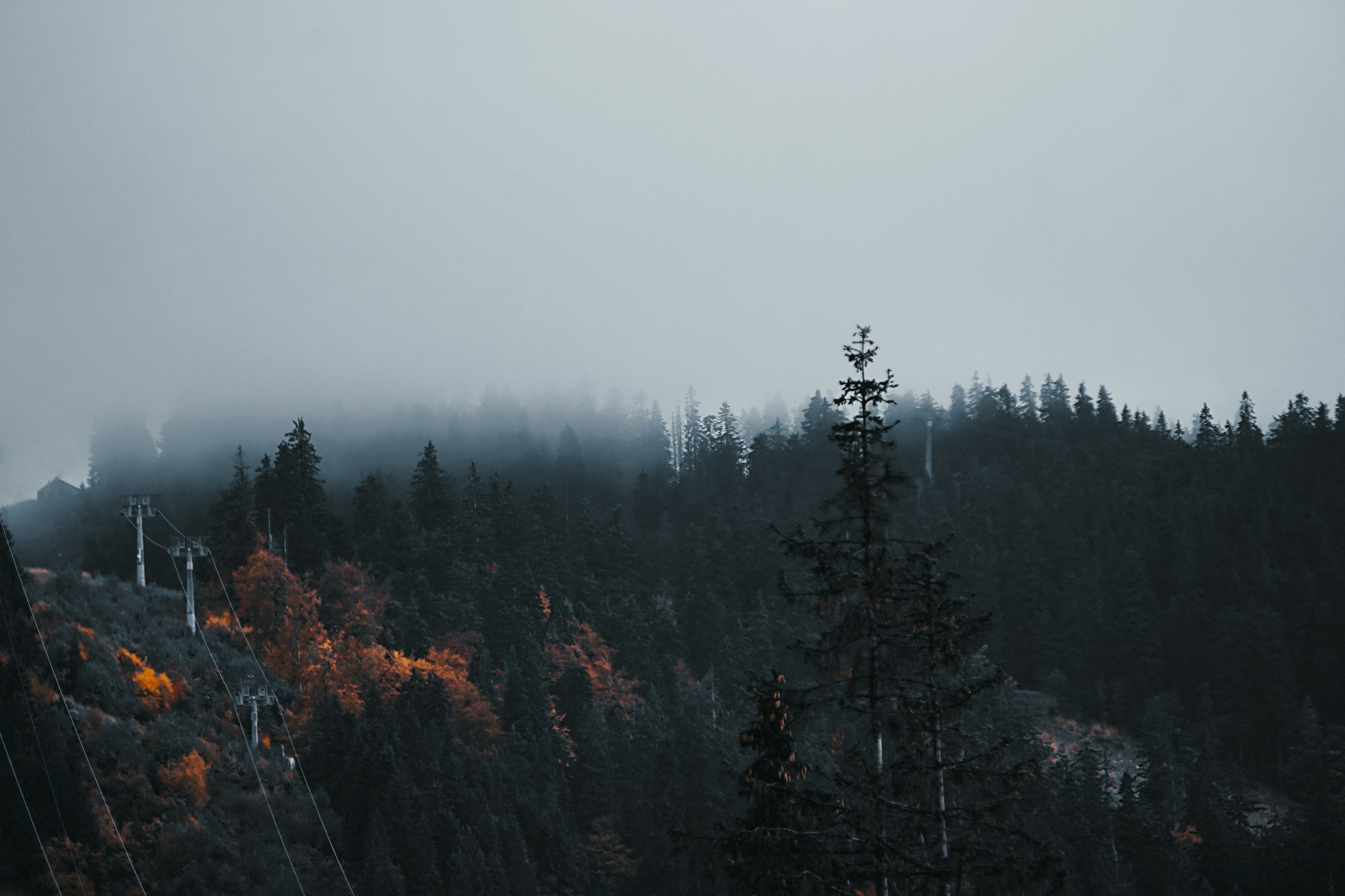 Photo by lorddarq