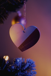 a heart shaped ornament hanging from a christmas tree